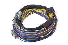 Load image into Gallery viewer, Haltech - Elite 750 + Basic Universal Wire-in Harness Kit Length: 2.5m (8&#39;)