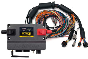 Haltech - Nexus R3 + 2.5m Universal Wire-in Harness Kit HT-193200