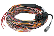 Load image into Gallery viewer, Haltech - PD16 PDM + Flying Lead Harness (5M)