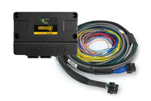 Load image into Gallery viewer, Haltech - Nexus S3 ECU + Universal Wire-in Harness - 2.5m (8&#39;) HT-213200