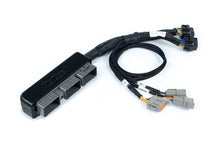 Load image into Gallery viewer, Haltech - Nexus S3 Plug &#39;n&#39; Play Adapter Harness Kit - Toyota Supra JZA80