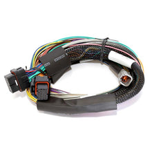 Load image into Gallery viewer, Haltech Elite 2500 ECU + Basic Universal Wire-in Harness Kit Length: 2.5m (8&#39;)