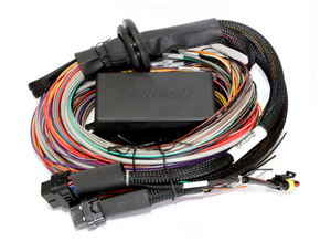 Haltech Elite 2500 ECU + Premium Universal Wire-in Harness Kit Length: 2.5m (8')